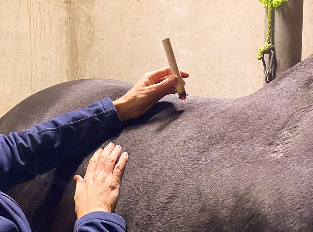 Moxibution mit Moxi-Zigarre