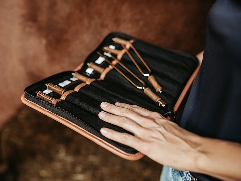 Chinesische Tierheilmedizin Phonophorese Chinesische Tierheilmedizin Phonophorese