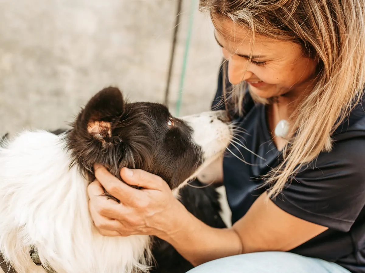Chinesische Tierheilmedizin