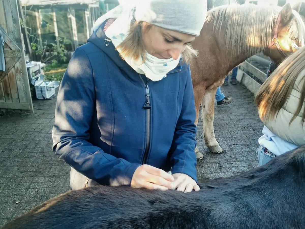 Chinesische Tierheilmedizin